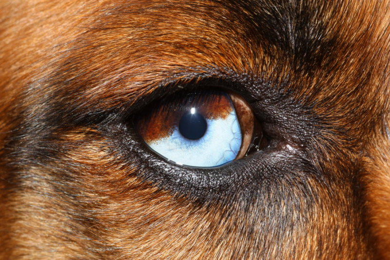 Heres Lookin at You, Bubba!