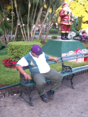 vigilant security guard, Merida