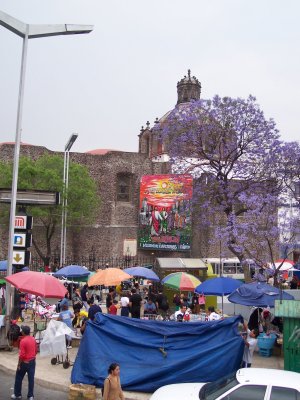 Bellas Artes