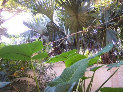 outside our hotel in Playa del Carmen