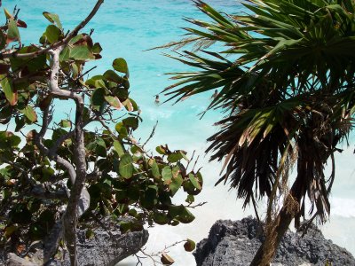 view from Tulum ruins