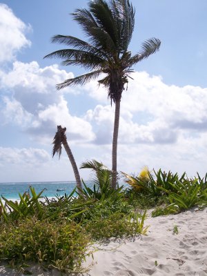 Tulum