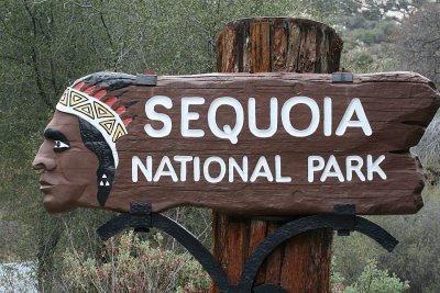 sequoia_national_park