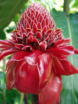 g6/70/20170/3/81906653.dOo11Qc2.jpg