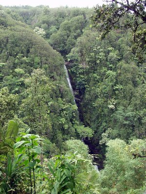 hawaii_botanic_garden