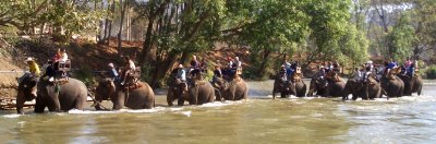 Elephant Ride in Chiang-Mai-4.jpg