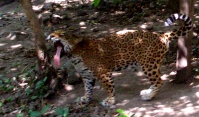mexico_chiapas_2007