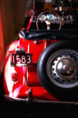 Car17.jpg