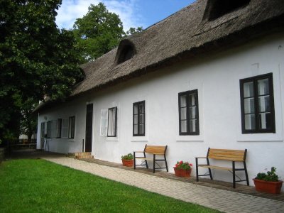 All the Szigliget houses had thatched roofs!