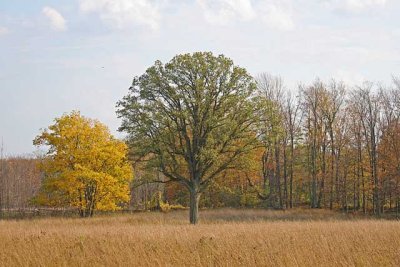 IMG_1036pss.jpg