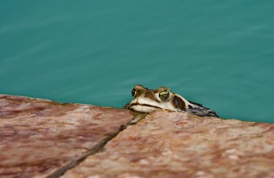 IMG_2750.jpg