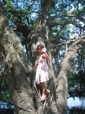 Cute girl in tree