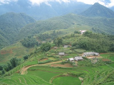 Rice fields in Sapa