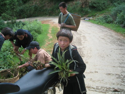 Hmong boys