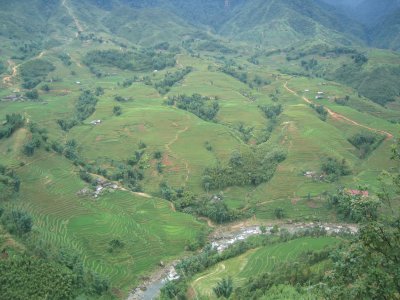 Rice fields in Sapa
