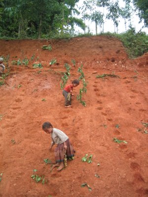 Children in Sapa