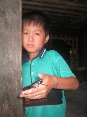 sapa 222.jpg