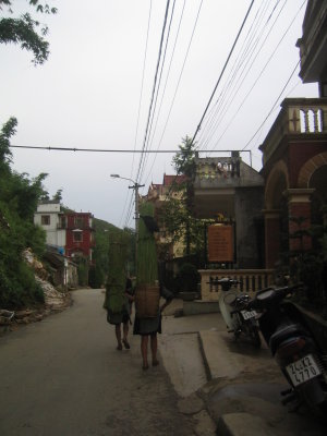 Sapa