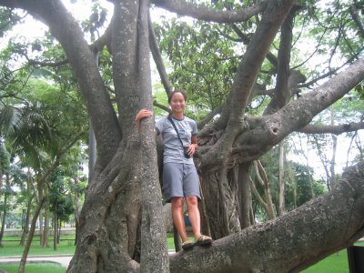 Me in the tree
