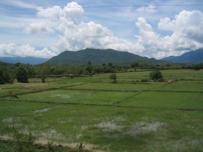Fields near Dalat