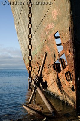 Punta Arenas