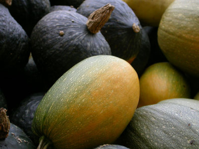 Gourds 2006