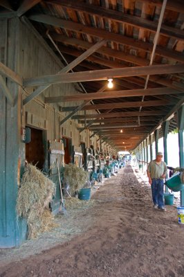 More stables.