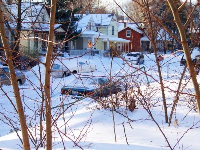 Dec Snow 04.jpg