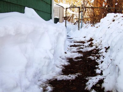 Dec Snow 02.jpg