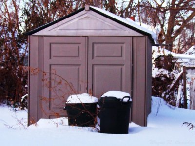 Dec Snow 01.jpg