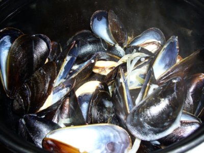 mussel in white wine cream sauce