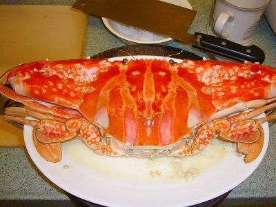 BIG crab just only $180