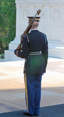 Tomb Sentinel-Arlington