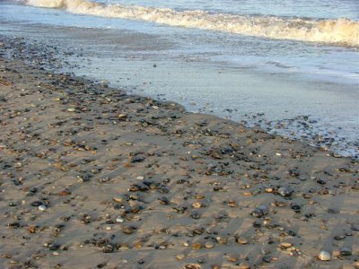 Caister beach