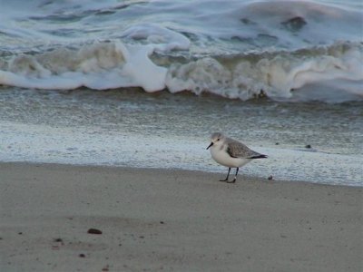 Caister beach