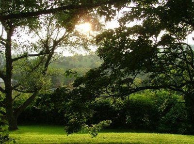 Lawn view