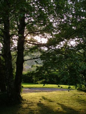 Evening light lawn view