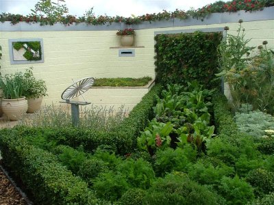 Cancer Research UK Donations Garden_thyme and money
