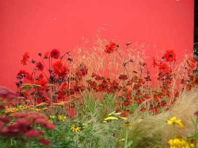The Prince's Trust Alpro Soya_A Personal Journey