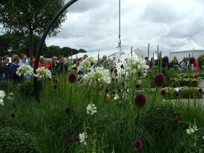 The Anthony Nolan Trust Bubble Garden