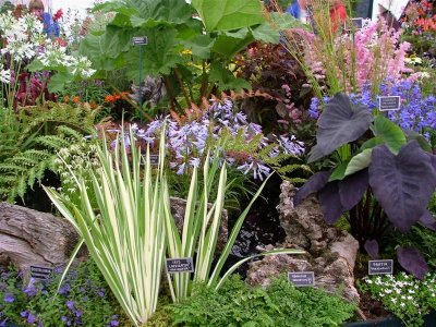 Floral Marquee stand