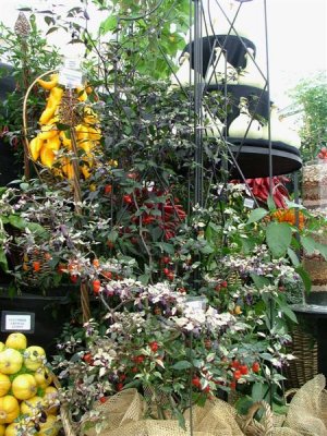 Floral Marquee stand