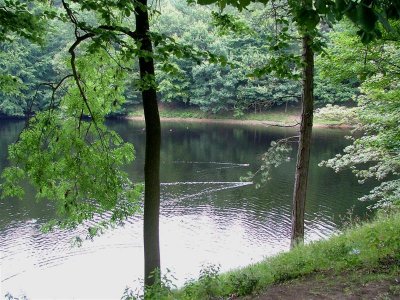 Derwent Reservoir