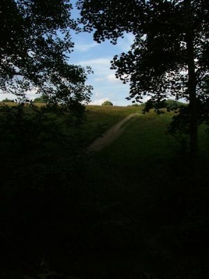Graves Park