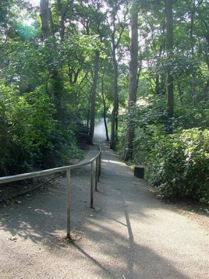 Graves Park
