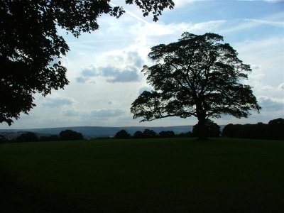 Graves Park