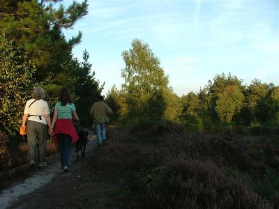 Sherwood Forest  15-SEP-2007