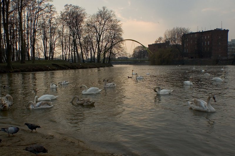 november or april 06