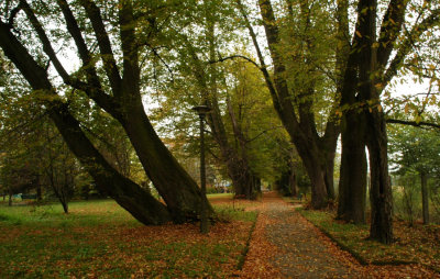 last autumn ,  Horyniec