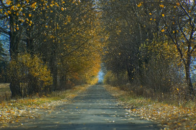 the road to RADRUZ